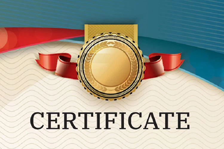 The whole internal logistics system solutions